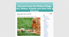 Desktop Screenshot of dailypets.co.uk